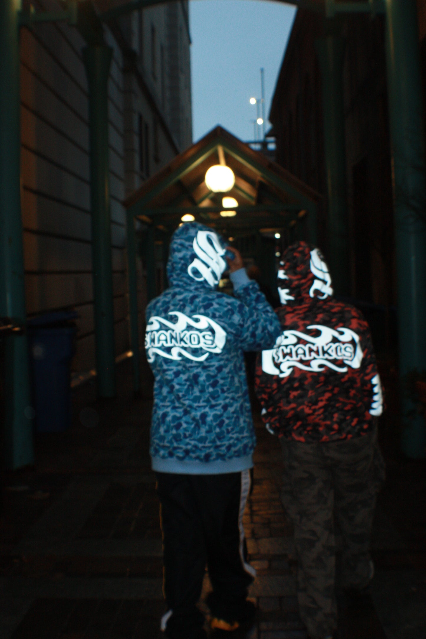 "Burden Of Proof" full zip